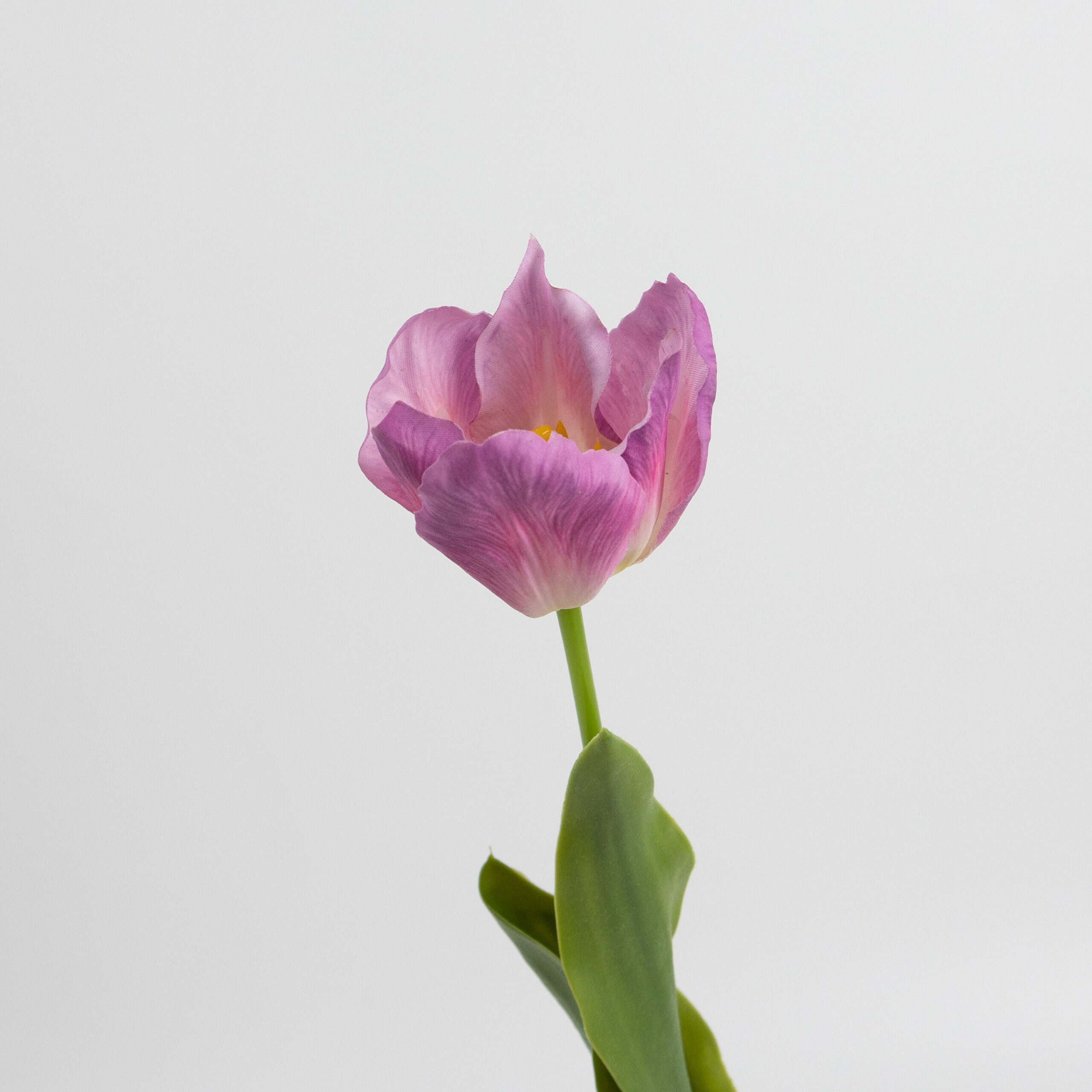 50cm Real-Touch Tulip Stem