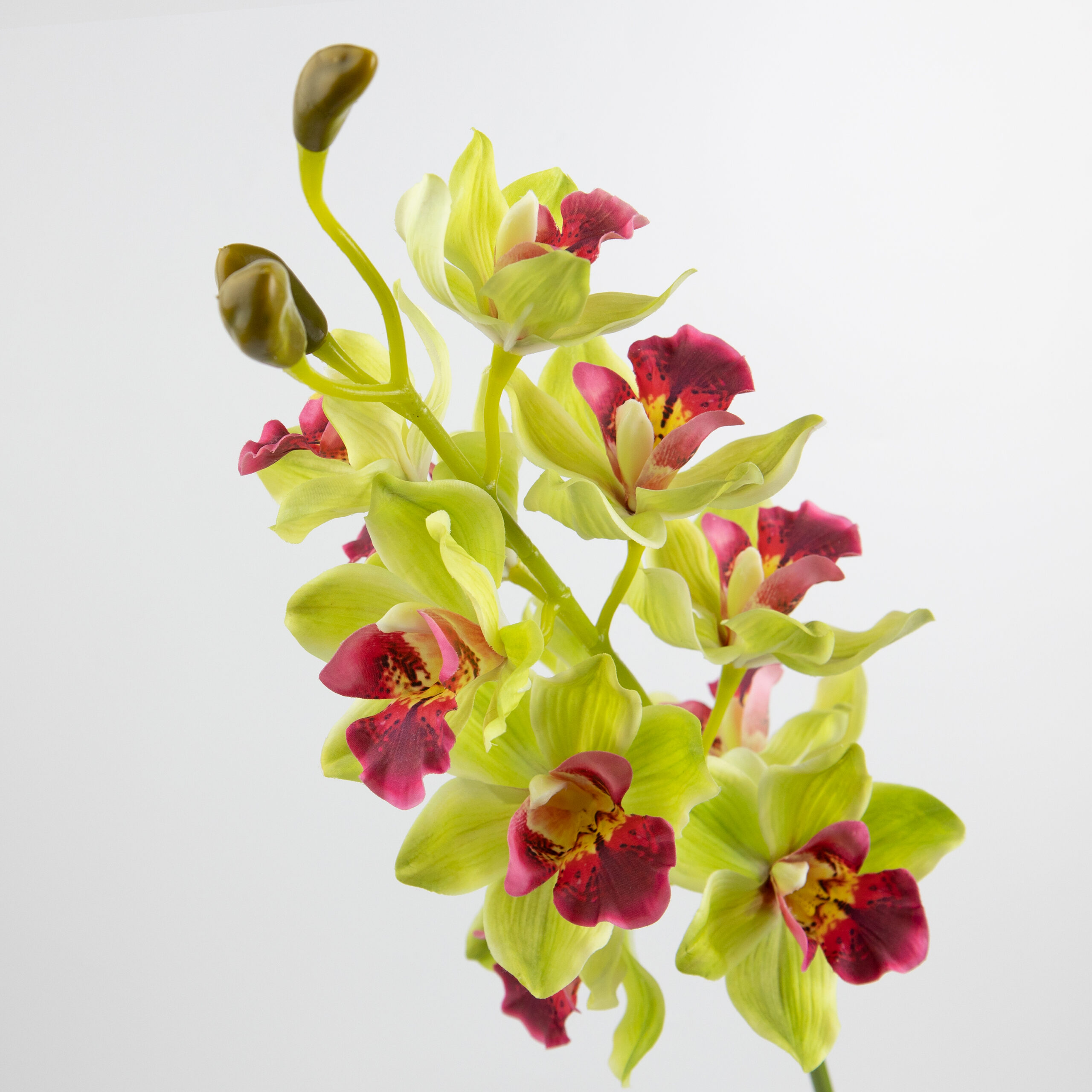 97cm Real-Touch 11 Heads Cymbidium Orchid Stem