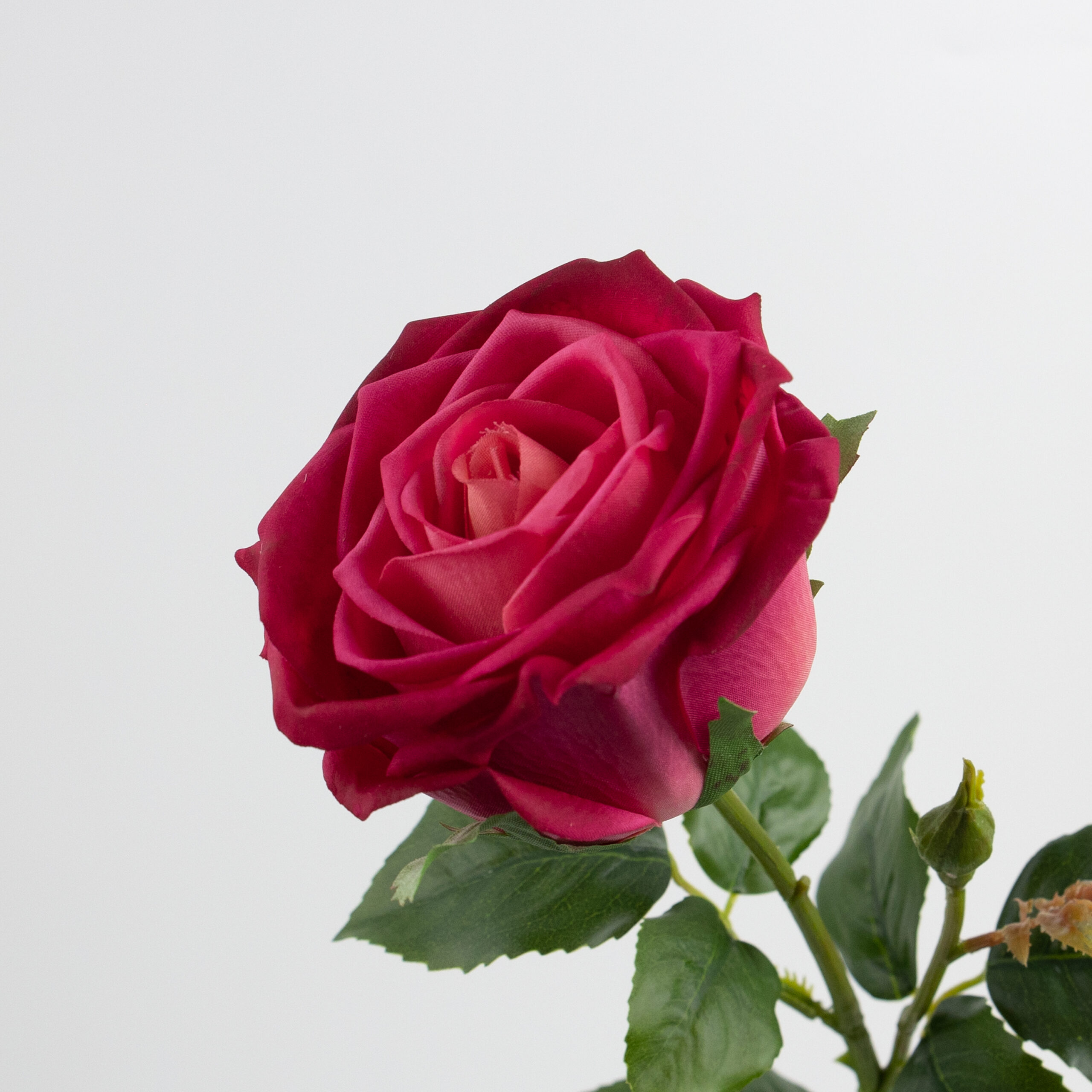 68cm Real-Touch Barbara Rose Stem