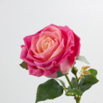 68cm Real-Touch Barbara Rose Stem