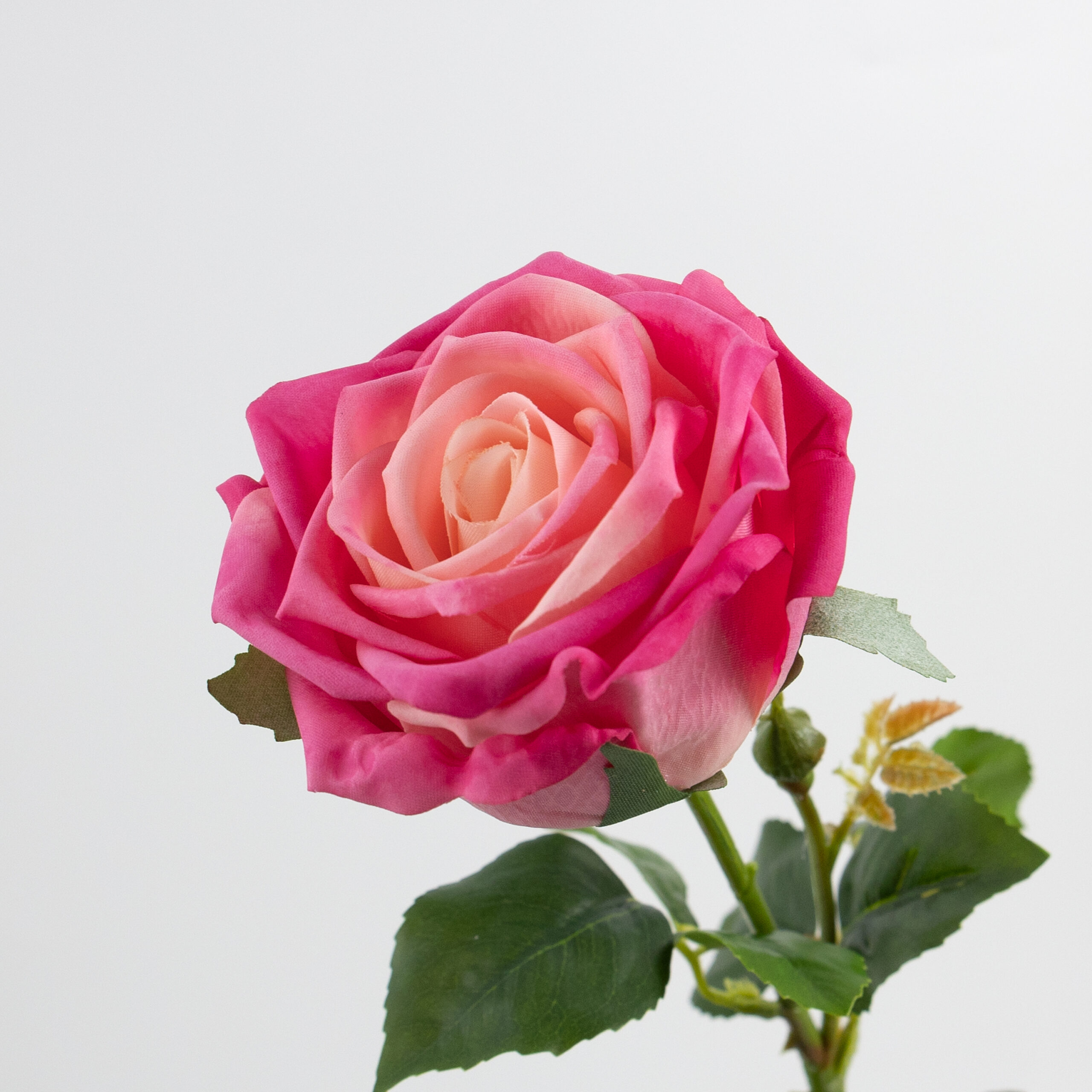 68cm Real-Touch Barbara Rose Stem