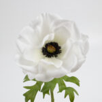 41cm Real-Touch Anemone Stem