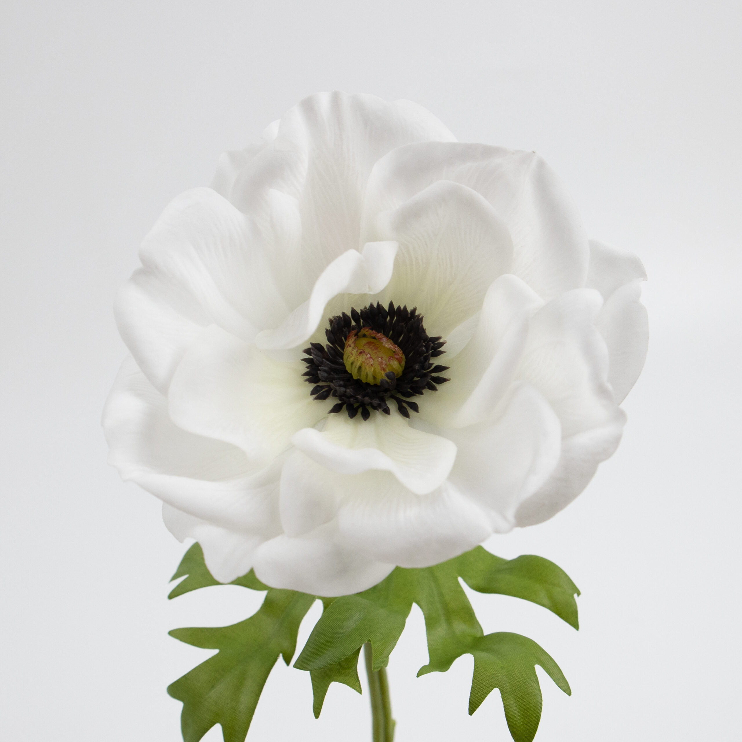 41cm Real-Touch Anemone Stem