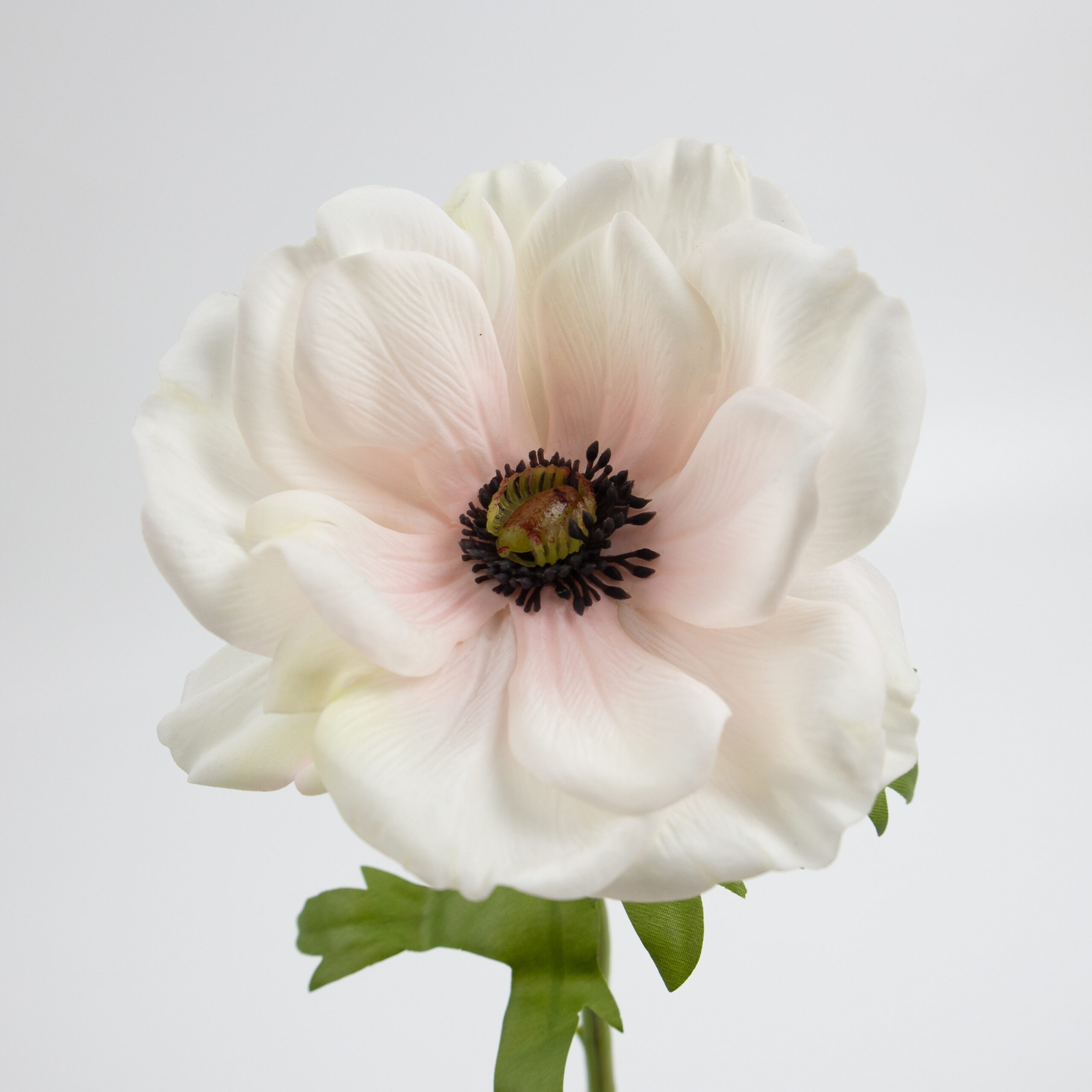 41cm Real-Touch Anemone Stem