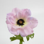 41cm Real-Touch Anemone Stem