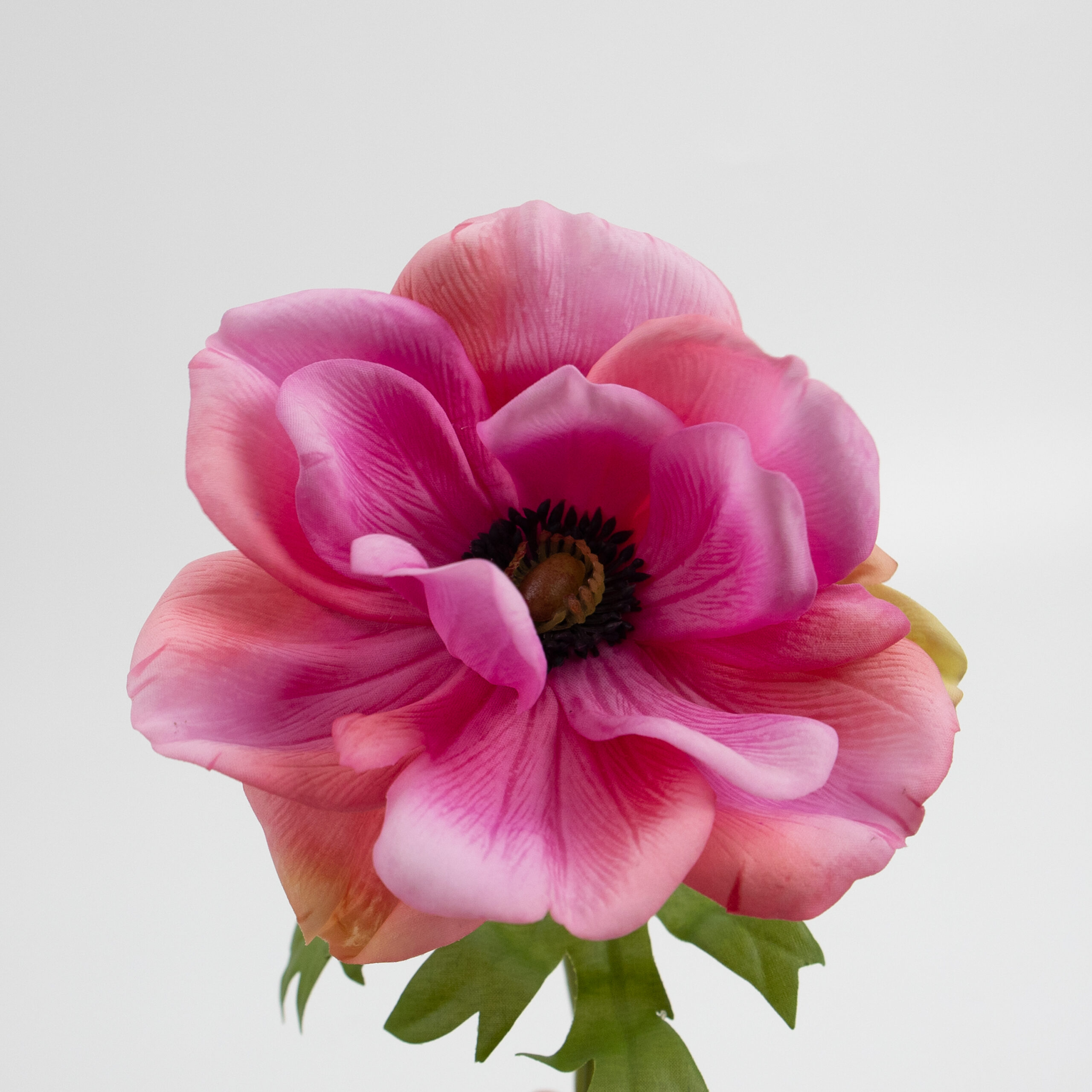 41cm Real-Touch Anemone Stem
