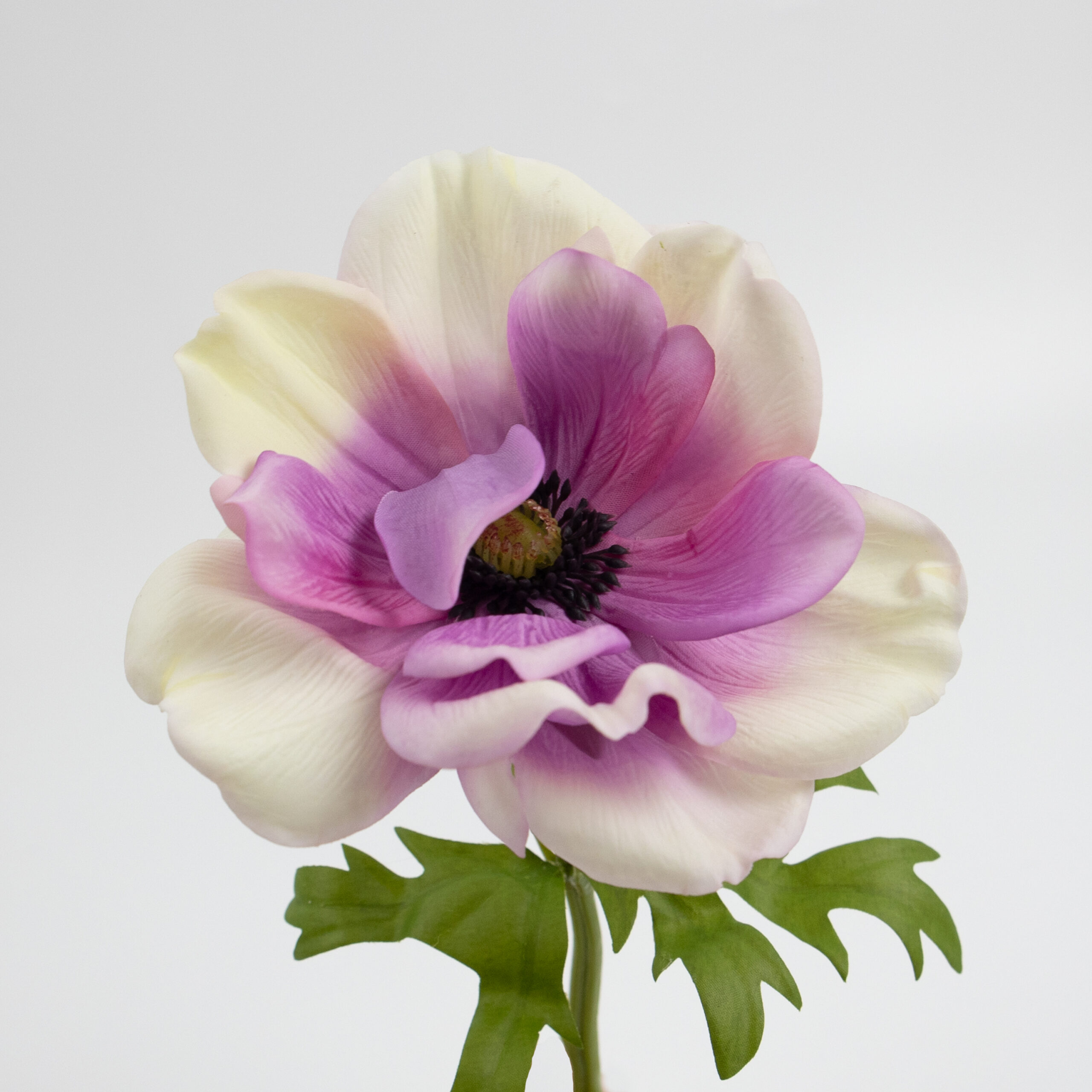 41cm Real-Touch Anemone Stem