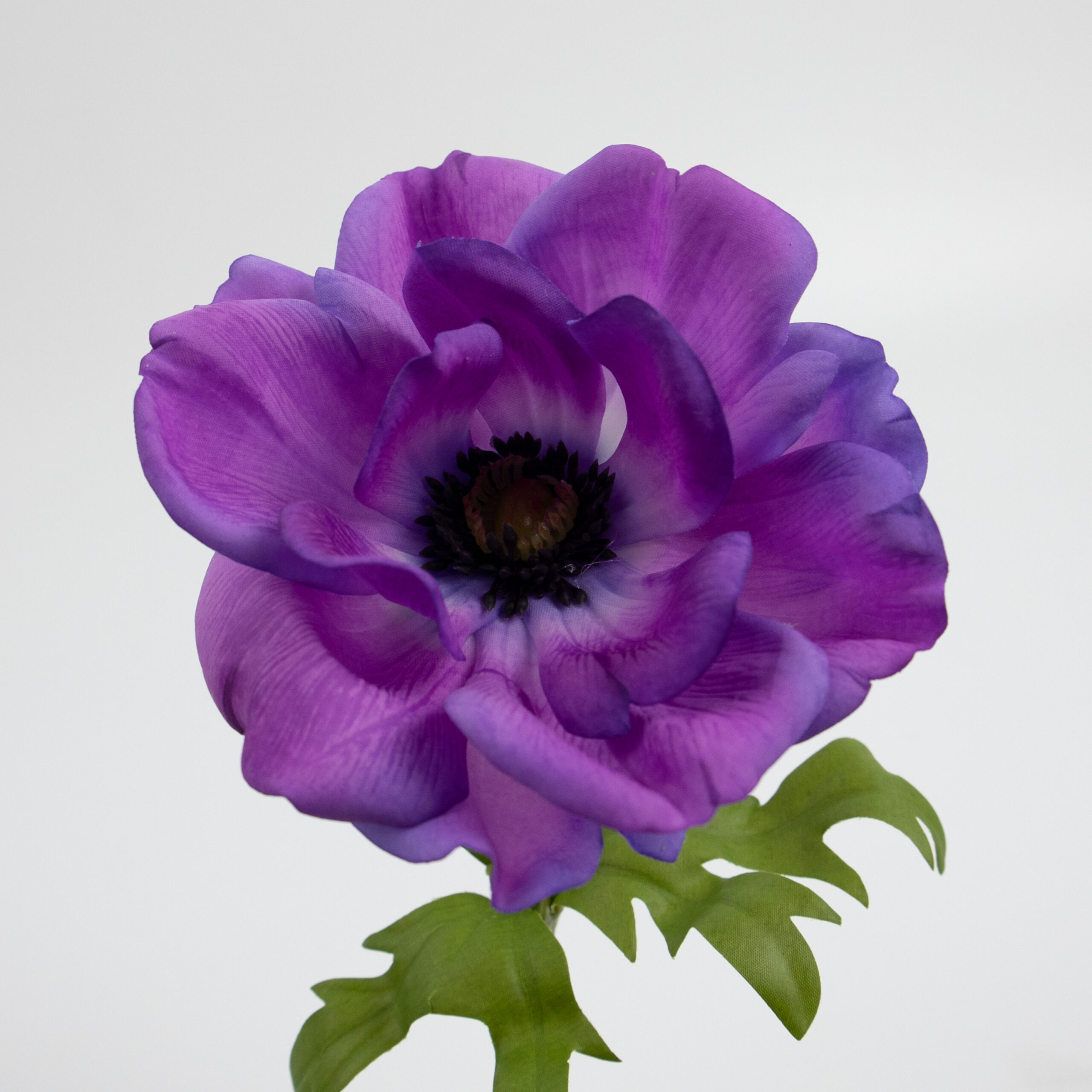 41cm Real-Touch Anemone Stem