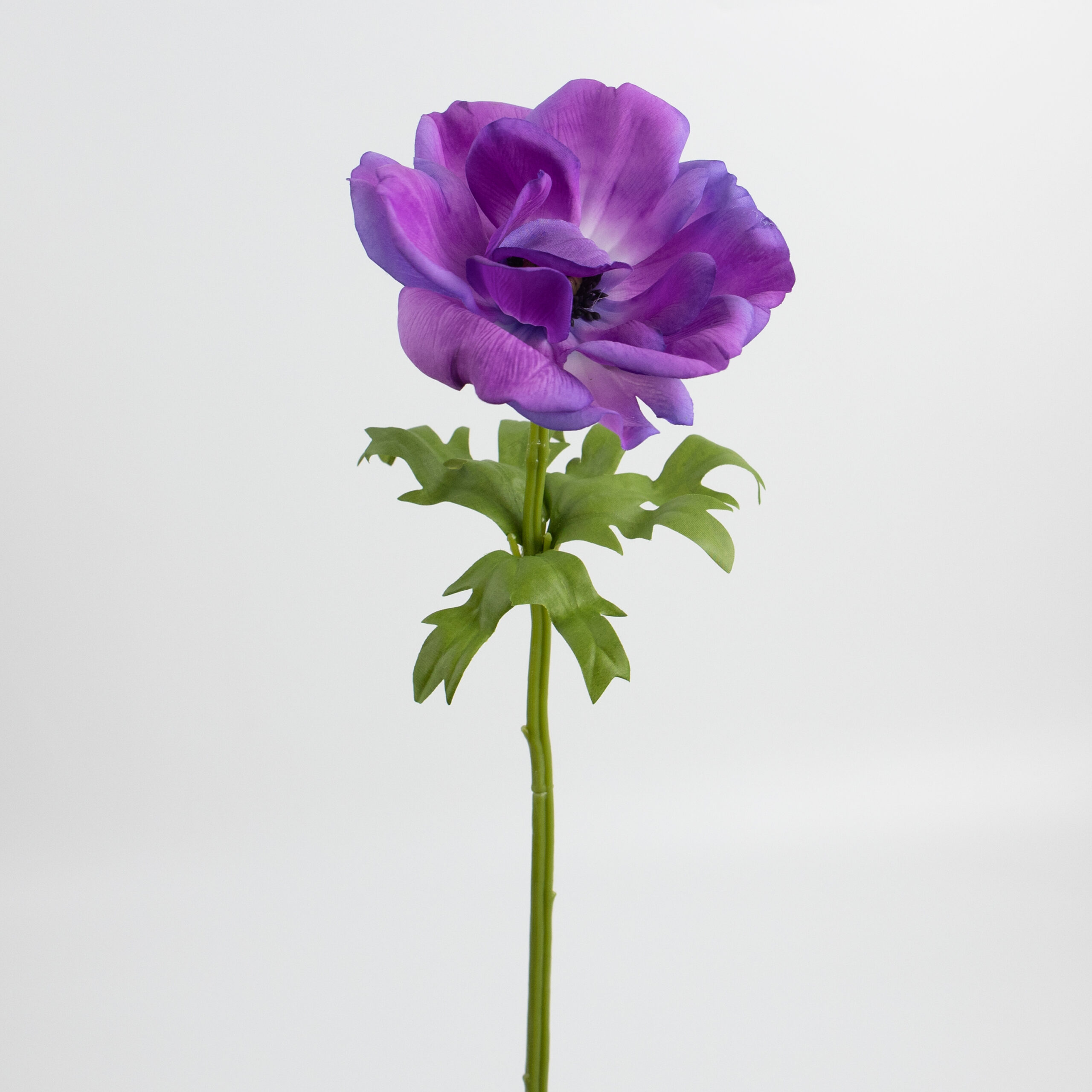 41cm Real-Touch Anemone Stem